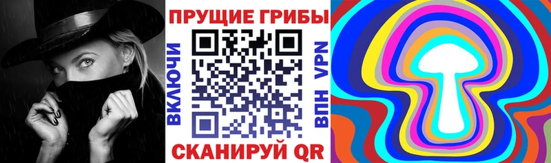 Галлюциногенные грибы Psilocybine cubensis  Купить где  Малгобек 